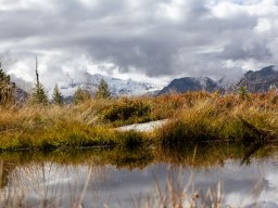 Photowalk - Graukogel - Palfnersee